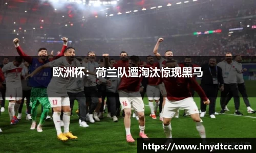 欧洲杯：荷兰队遭淘汰惊现黑马